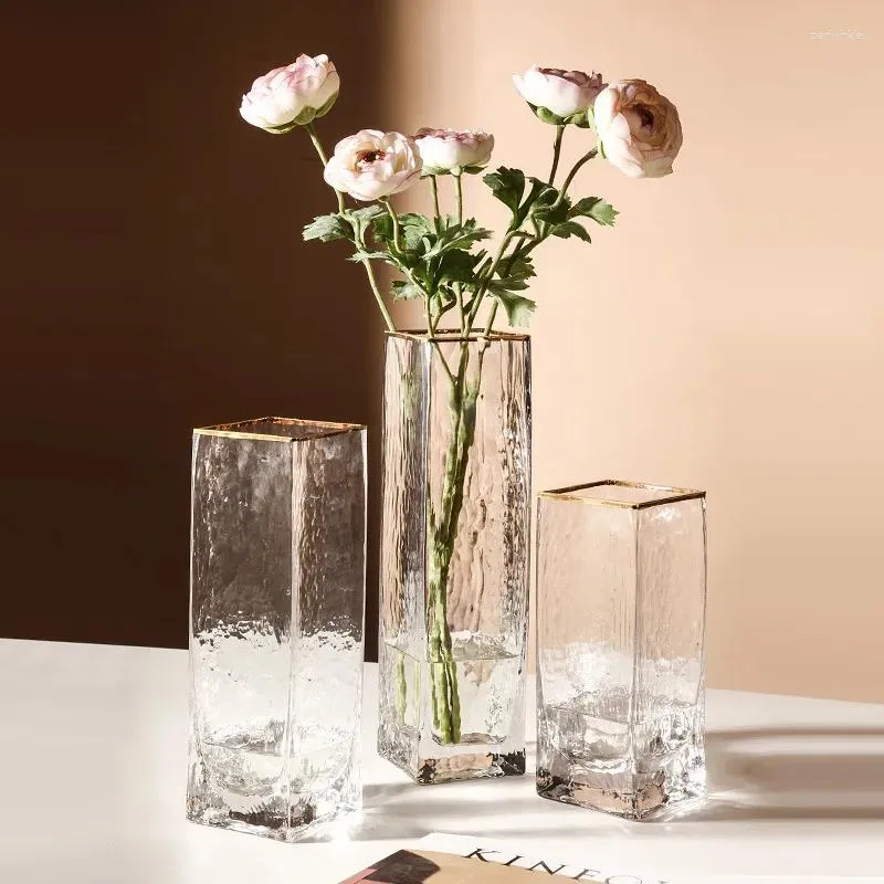 Vasos da sala de estar vaso hidropônico transparente phnom penh decoração de casa mesa de jantar nórdica luz de luxo arranjo de flores florista jardim