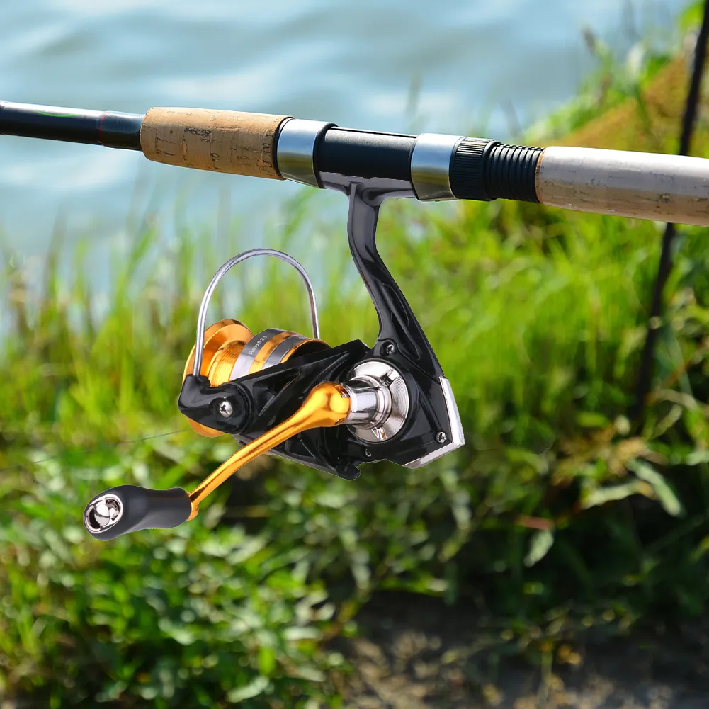 Ultralight Fishing Ultralight Baitcaster Ultralight Spinning Best