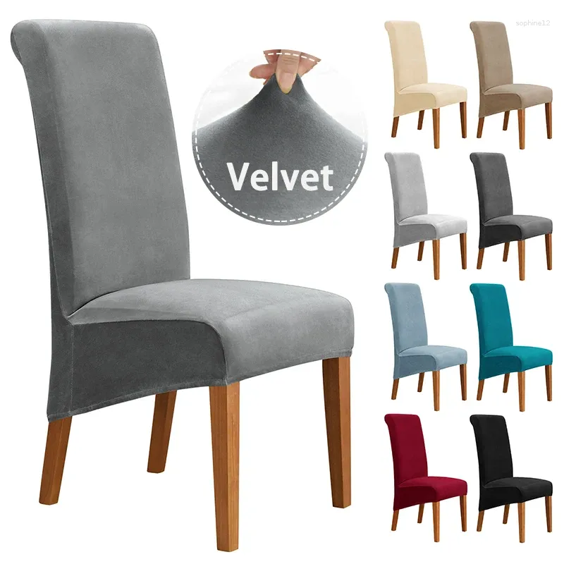 Coperture sedia Lylyna Velvet Copertura da pranzo grande xl Slitta a dimensione per cucina lungo la cucina elastica sedile a colori solidi