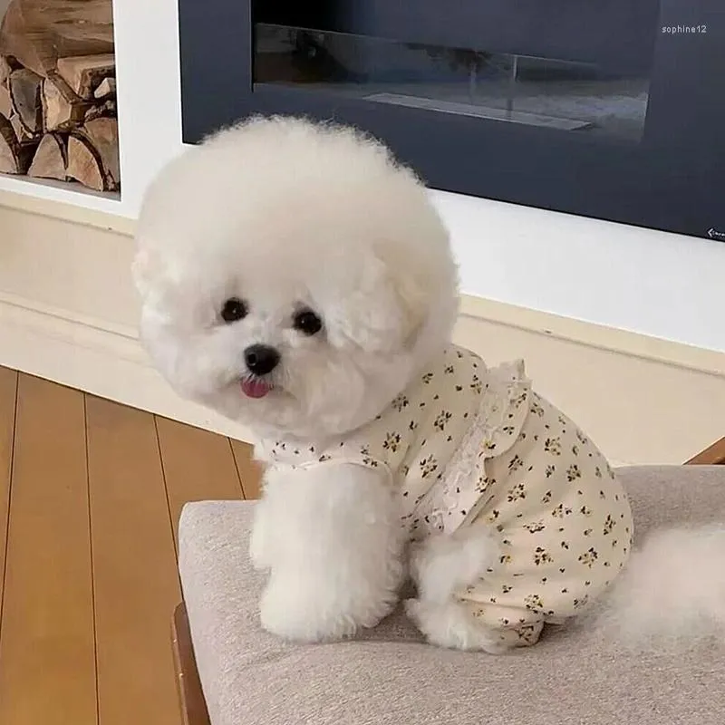 Vêtements pour chien Automne mignon à quatre pattes en peluche petit bibémorfomate maison exquise chat yorkshire vip