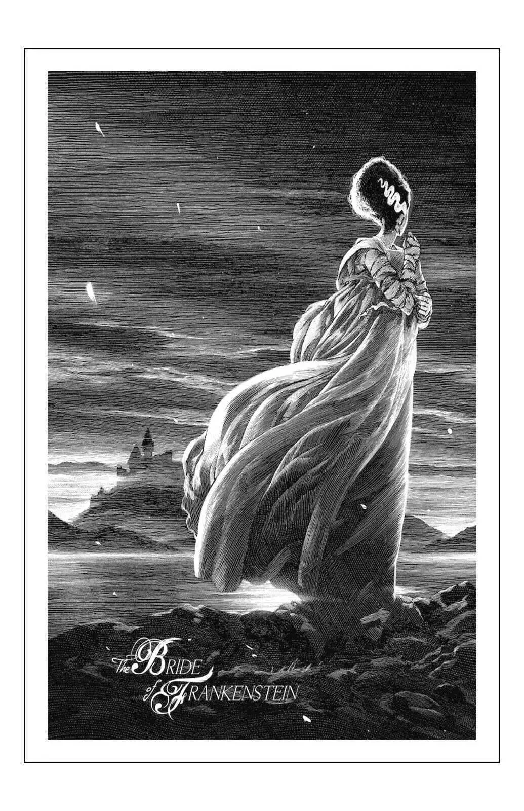 Braut Von Frankenstein Movie Poster Print Seidenwanddekor Für Heim , Büro  Und Filmbegeisterte 24x36 Zoll Von 9,25 € | DHgate, image size:1035x1600