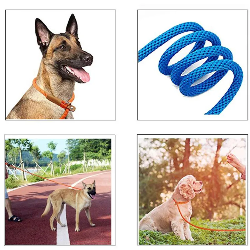 Dog Collar Slip Lead: Adjustable No-Pull Training Leash for Medium