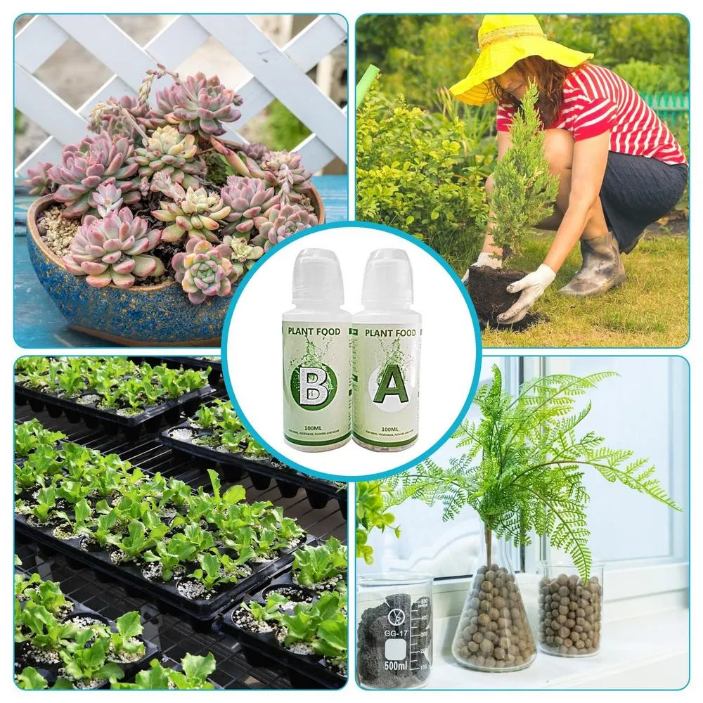 Hydroponics Fertilizer Liquid Nutrient Solution for All Plants 100ml Bottle  Controlled Release from Dhgate BBQ Tools & Accessories - price 37.69