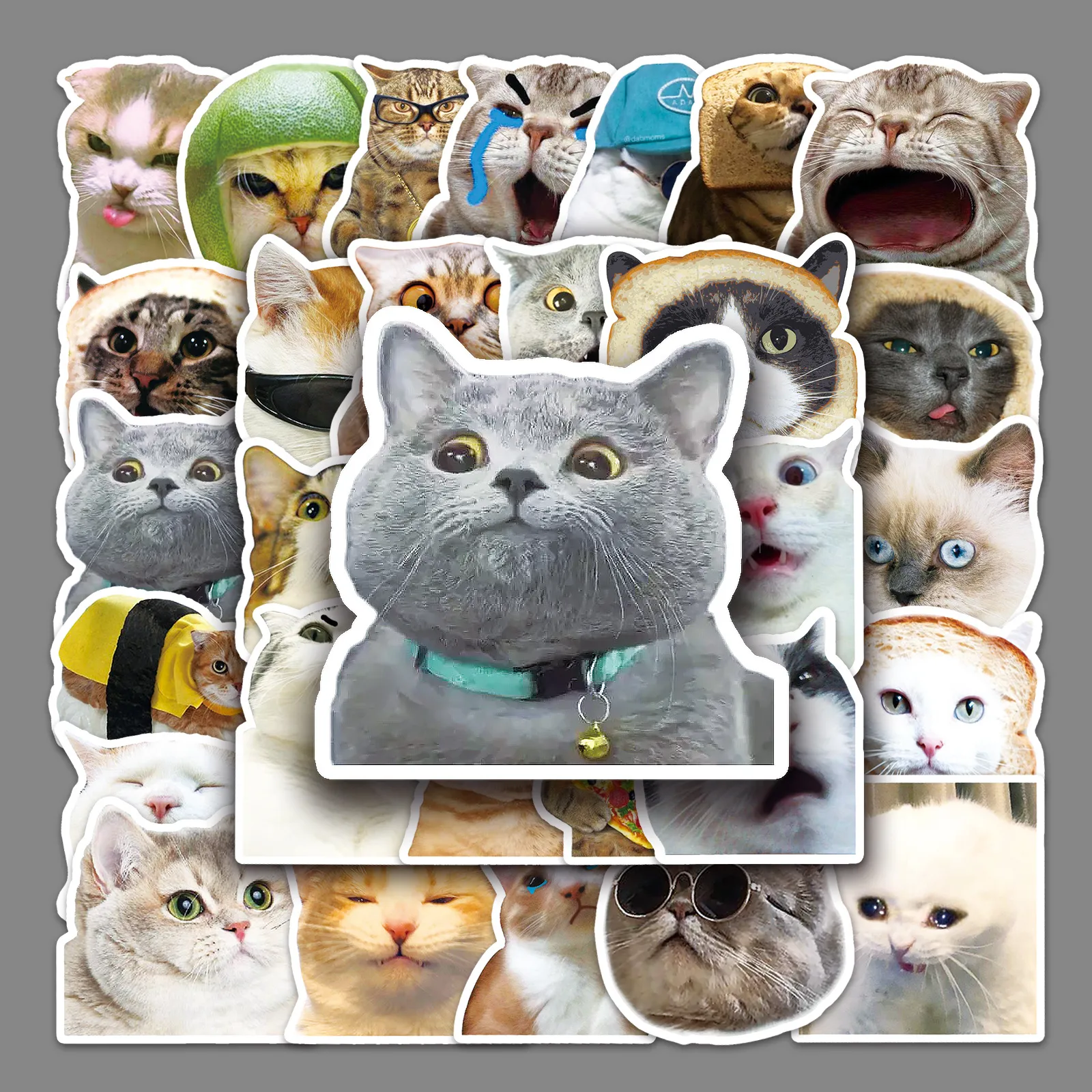 Graffiti Sticker Cat Funny Cat Stickers - 10/30/Graffiti Animal Decals for Kids, DIY Crafts ...