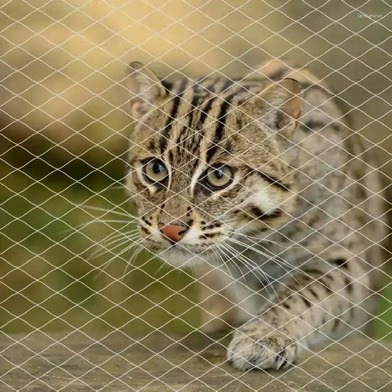 Transportadoras de gatos protetora de segurança de pet cerca cerca de queda anti-queda de rede de nylon de rede de proteção contra queda cães de nylon