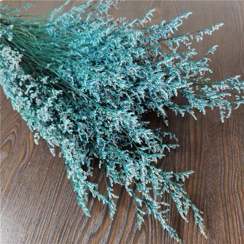 50g / 30 ~ 42 cm Lover Grass Natural Fresh Sèche Dans Dancing Flowers, Real Forever Flower Grass Branch pour la décoration intérieure, mariage