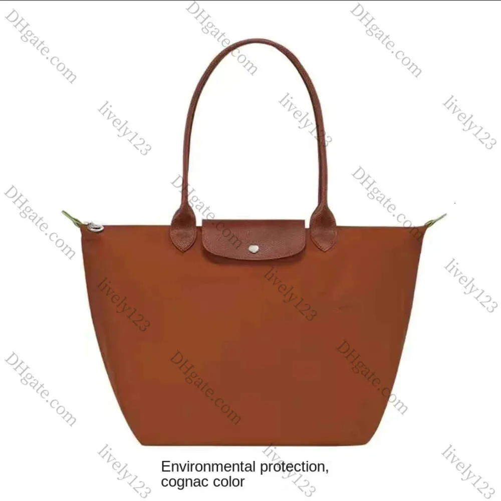 2024 Mode coole Luxusdesigner Marke lässig kleine Umhängetasche Frauen Crossbody Handtasche Silber Patent Nylon Hochwertige Handtaschen