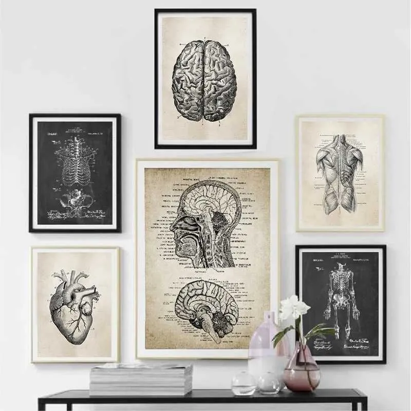 Vintage Anatomy Skeleton Canvas Wall Art - Retro Medical Poster Print ...