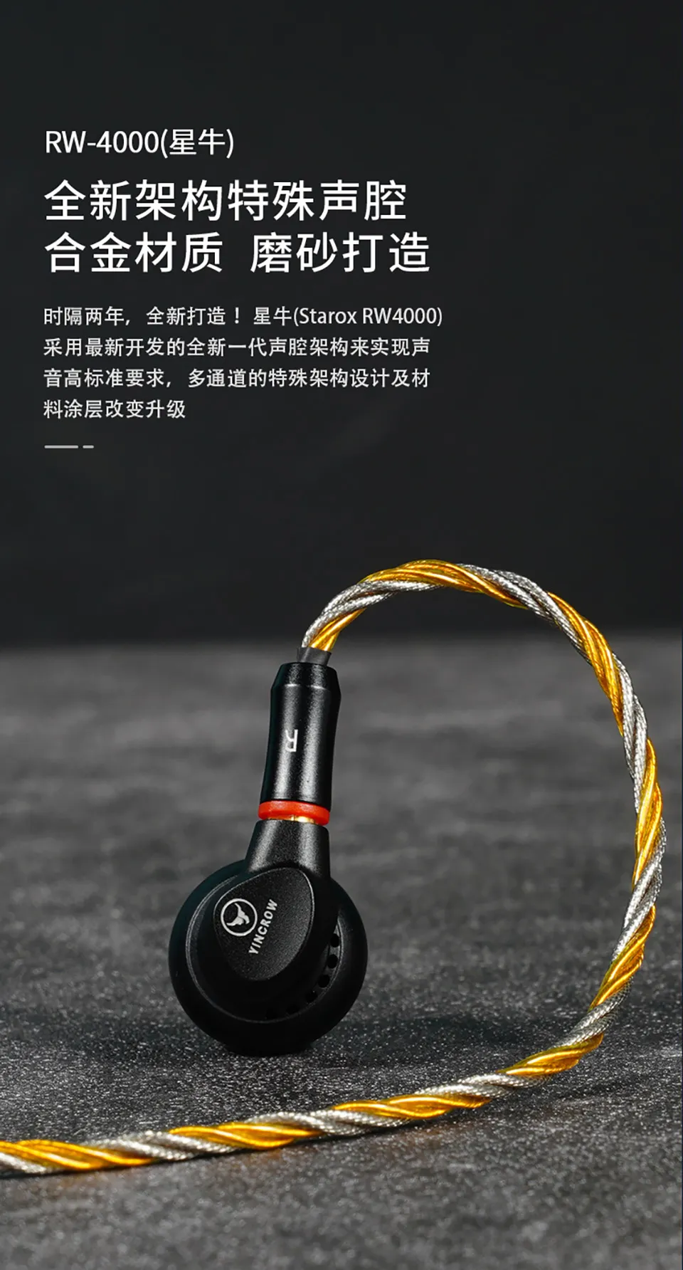 Premium Metal Earbuds: Hi-Fi Music IEM with Detachable Cable