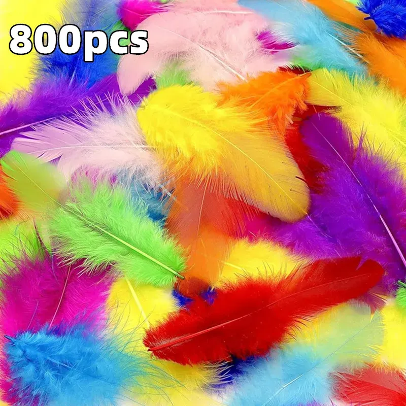 800 / 100pcs plumes colorées Pluches artisanales de 3 à 5 pouces décorations de fête de famille de mariage, fournitures de receveur de rêve, plumes naturelles