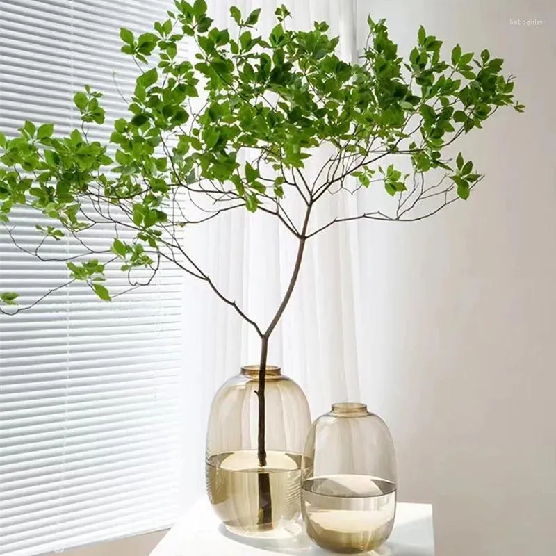 Vasi semplici vaso moderno vaso grande pancia trasparente decorazione creativa decorazione fiori acqua nutriente soggiorno squisito arredamento per la casa