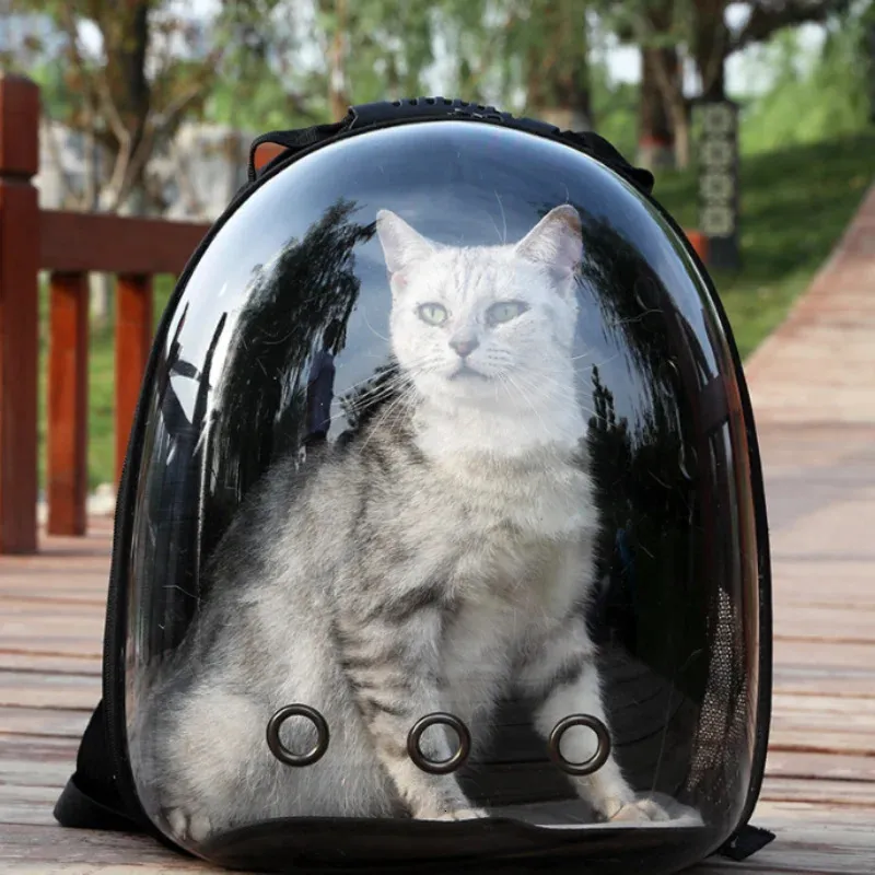 Tillverkare levererar direkt kattväskor PET -ryggsäckar bärbara och transparenta rymdkapslar kattleveranser andningsbar ryggka 240409