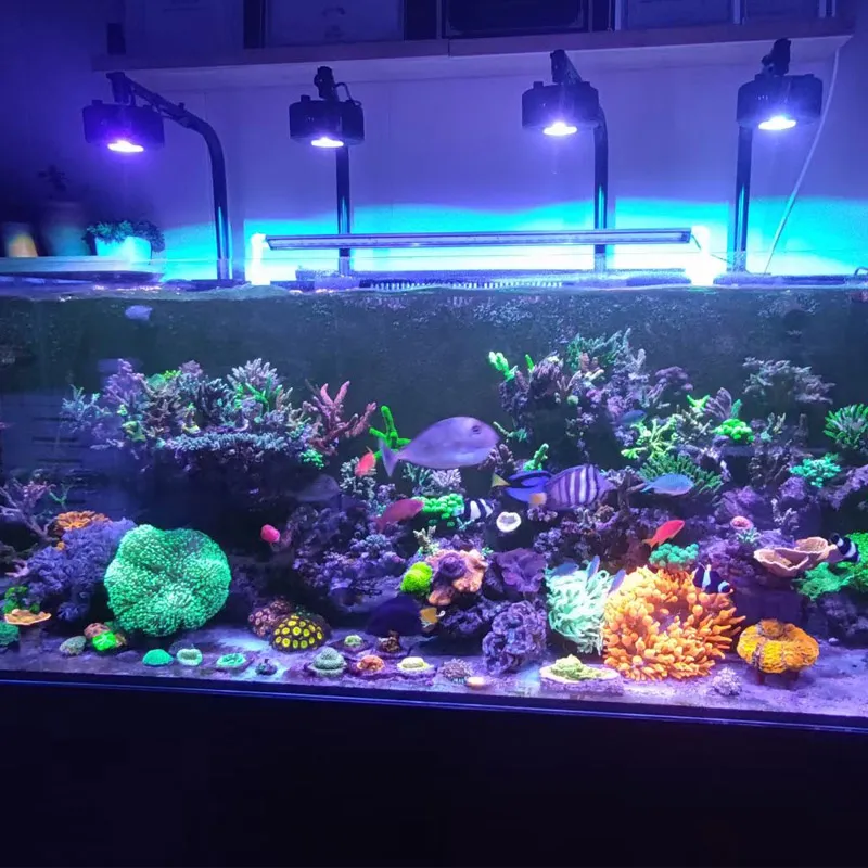 DHgate.com:A7S2 WIFI APP Control Round Coral Tank LED Grow DHgate.com:A7S2 WIFI APP Control Round Coral Tank LED Grow