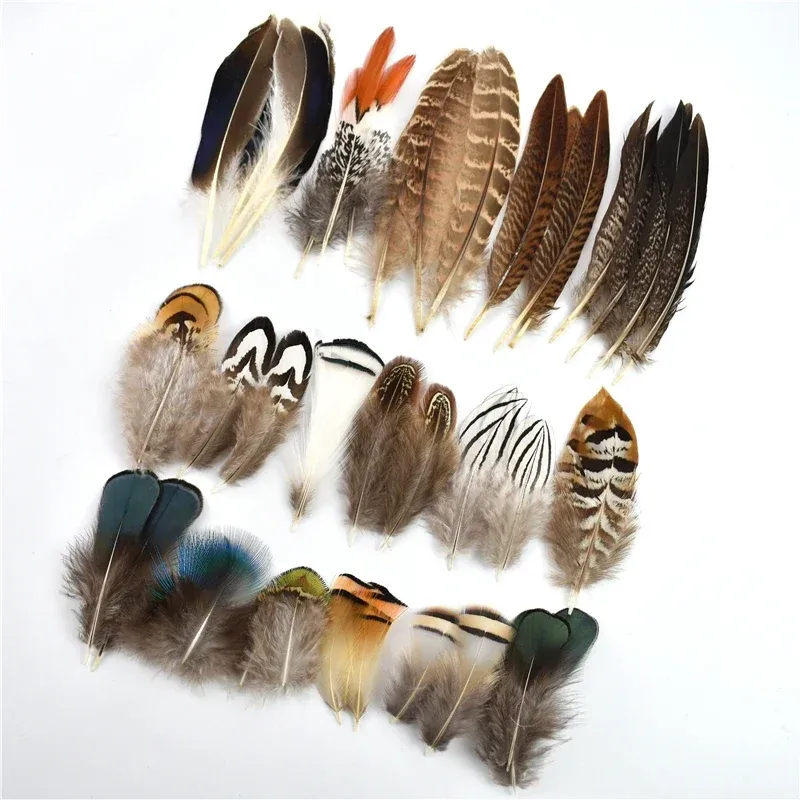 Wholesale Natural Peacock, Chicken, and Pheasant Feathers for Crafts, Fly  Tying, Dream Catchers, Feather Jewelry, and DIY Accessories