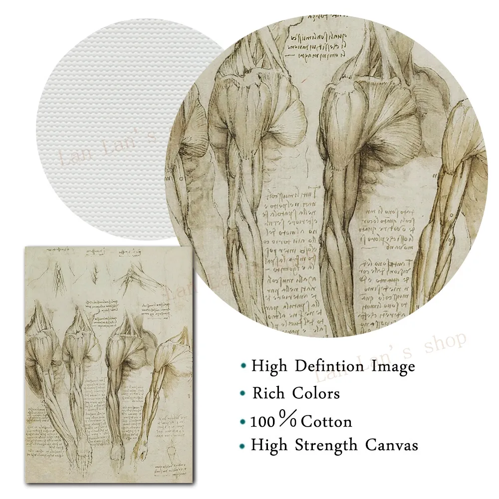 Leonardo da Vinci Vitruvian Man Poster Art Poster Vintage Anatomy Tela Painting Wall Picture Art Stampe Doctor Office Home Decor