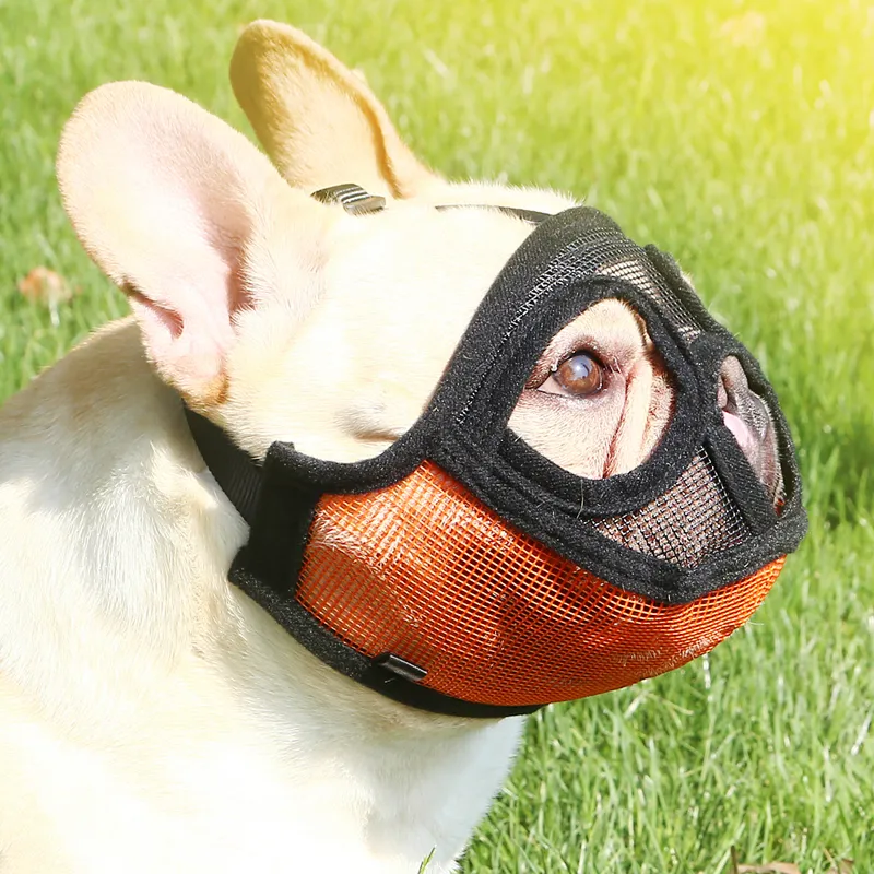 New French Bulldog Pug Pet Muzzle for Dogs Outdoors Prevent Stealing and Biting Dog Accessories Mascotas suministros para perros