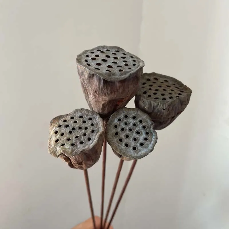 3~4CM Head/5PCS,35-40CM Natural Dried Lotus Seedpod with Artificial Wire Pole,Small Lotus Seed Pod Flower Bouquet For Home Decor