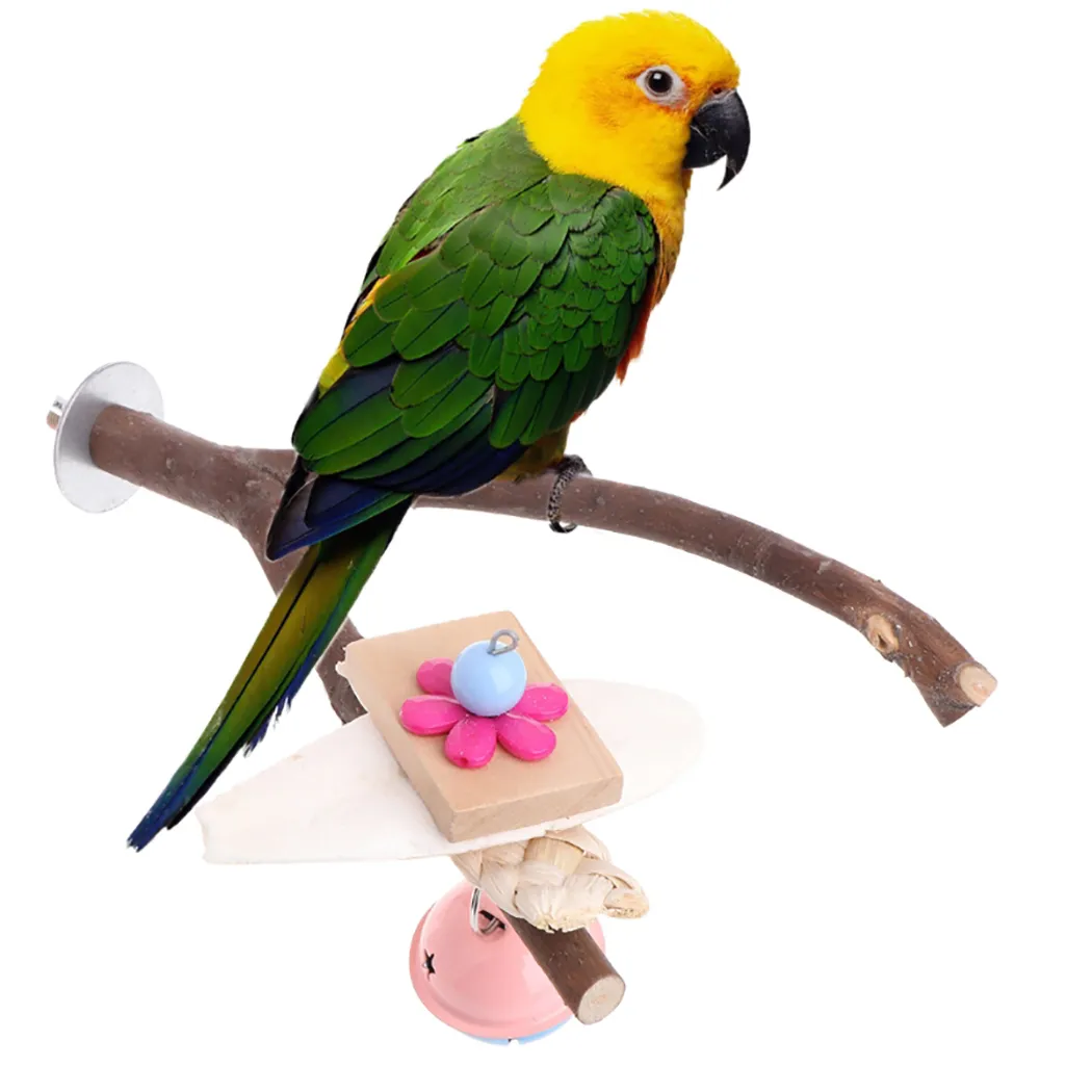 Vogelkäfigstangen Standplattform Parrot Spielzeug Pfoten Schleifbisse Spielzeug mit Bell für Papageien Shotes Pet Birds Training Accessoires