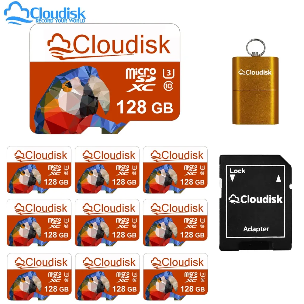 Kaarten Cloudisk 10 stuks Micro SD 8GB 4GB 2GB 1GB TF -kaart Flash -geheugenkaart 128 GB 64 GB 32 GB 16GB U3 C10 A1 Adapter GRATIS GRATIS VOOR TELEFOON