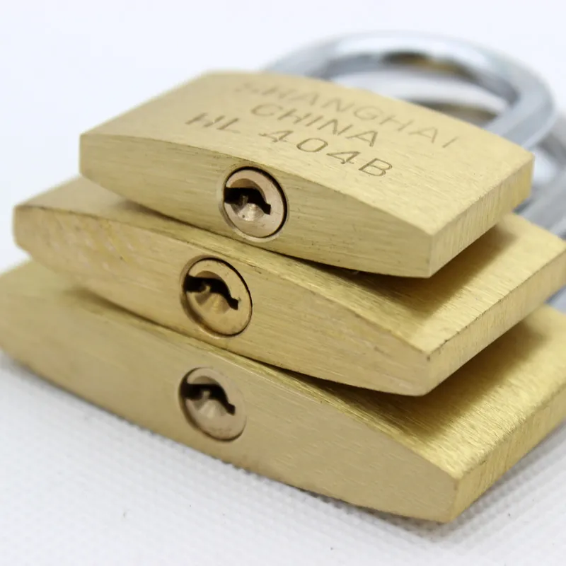 2 Pcs Same key Copper Padlock Wolf Head Brass Lock Small Locks Door Locks 20mm 25mm 30mm 40mm Not Rust Lock Core Include 6 keys