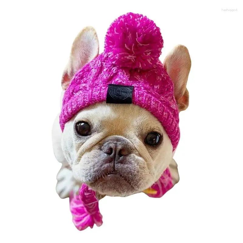 犬のアパレル秋と冬の毛皮ボールは暖かい風のパフ編み方を保持します帽子ペットヘッドギアと戦う