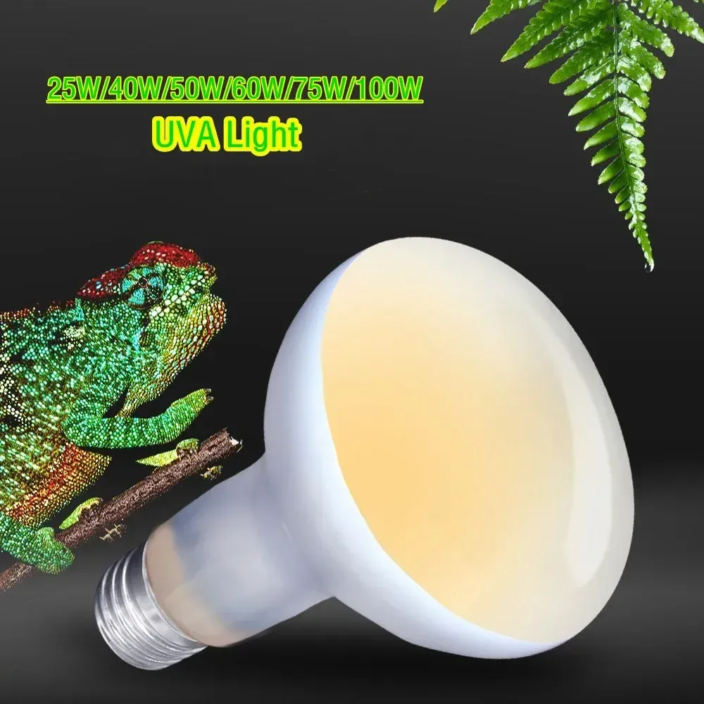 60w basking bulb sale