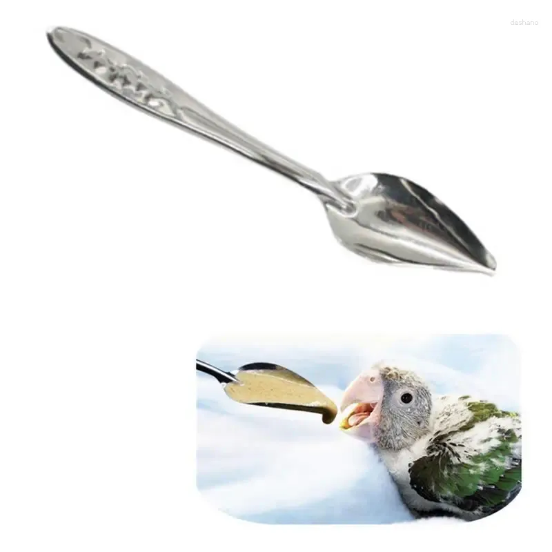 Outros suprimentos de pássaros Colher de alimentação de pássaros 10pcs colheres mão para peônia metal leite budgies