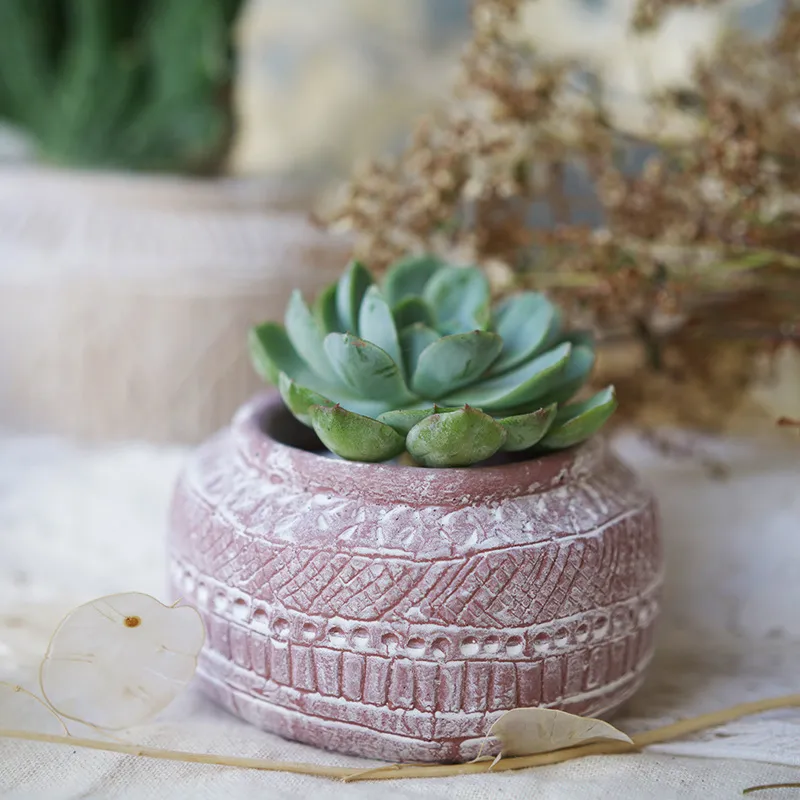 Nordic Stoneware Pot Ciment Flower Pot Retro Old Small Fresh Creative Succulent Gardening Modern Ins Wind Potted