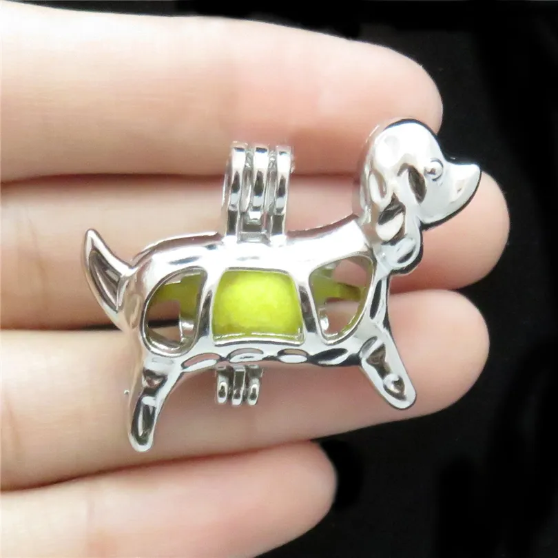 10 pezzi Classic Dog Babbund Charm Cange Cage Locket Aromatherapy Diffuser Collana a pendente Bracciale gioielli regalo Bulk