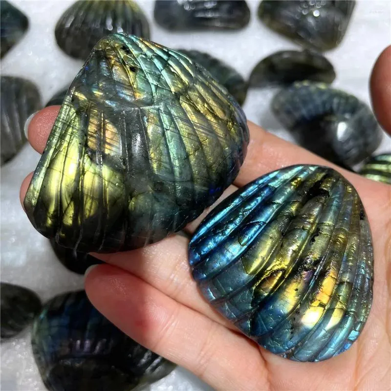 Decorative Figurines Good Flashing Labradorite Stones Natural Gems Scallop Seashell Witchcrafts Reiki Crystal Carvings Decorations Indie