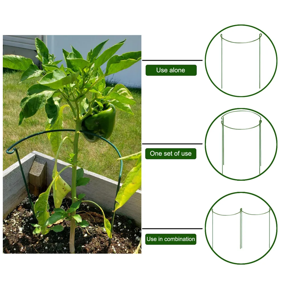 Vine Plant Support Ring Cage Tomato Vines Semicircle Rosas Gardening Tools Hydrangea 6pcs Metal