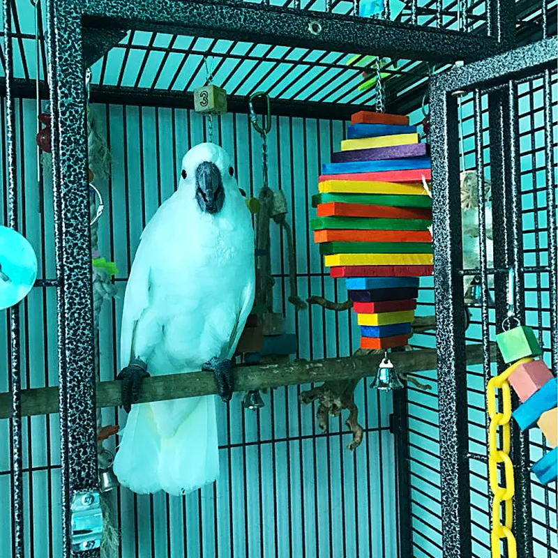 Colorful Wooden Bird In A Cage Toy For Small To Big Parrots