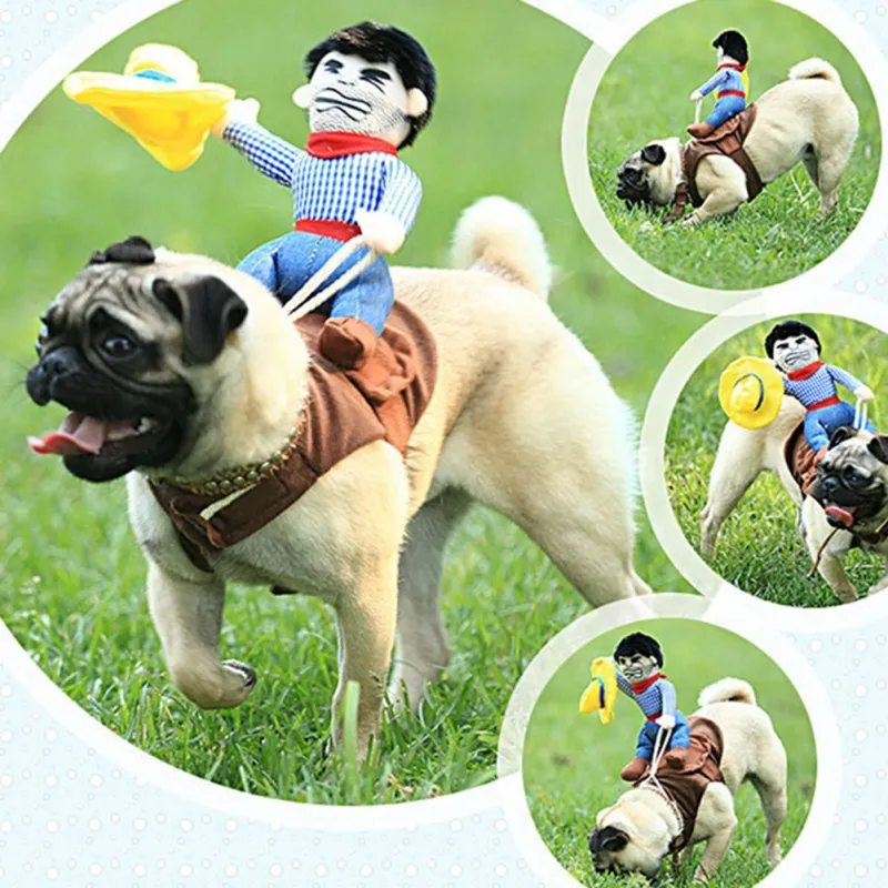 Kid pug costume sales