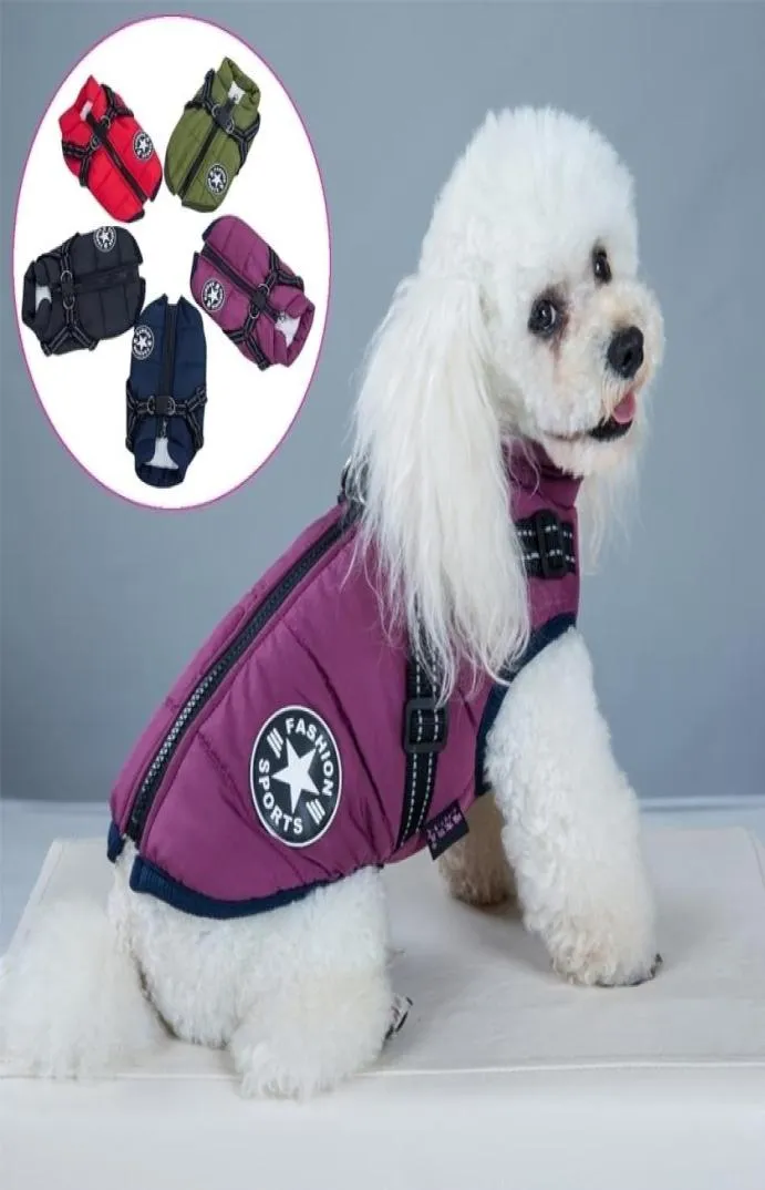 Pet harnais Vêtements Vêtements Puppy Vesailles de chien imperméable Veste pour chiens hiver Vêtements d'animaux chauds pour les petits chiens Shih tzu Chihuahua Pug Coat Y7210862