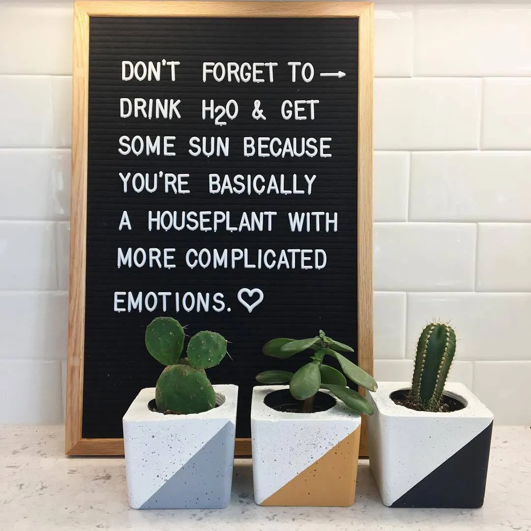 letterboardcompany__2018-06-03