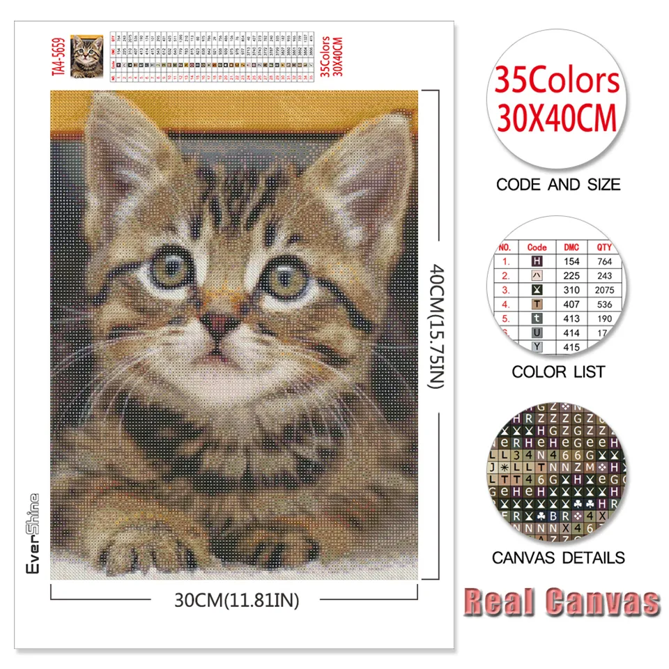 Evershine Diamond Borduurwerk Cat 5D Diy Diamond Painting Dieren Cross Stitch Kit Rhinestones Mozaïek Volledige lay -out Home Decoratie