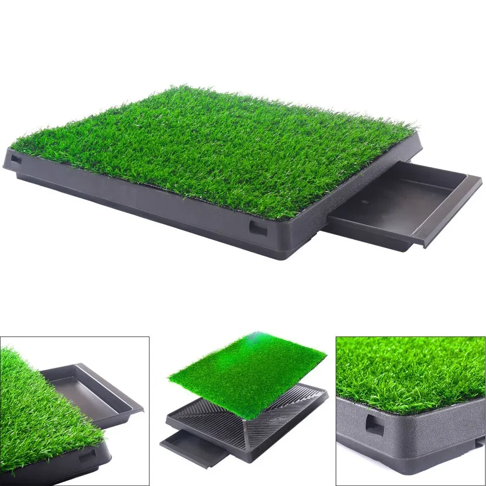 Outdoor dog litter tray discount