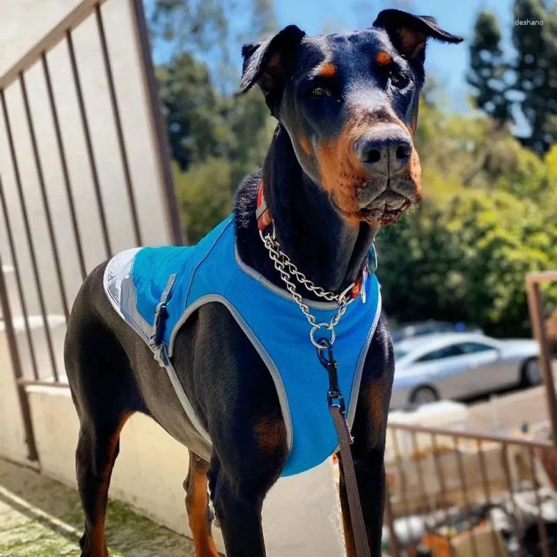 Roupa de vestuário de vestuário para cães Roupas de verão respirável Protedor solar ao ar livre refrescante para cães suprimentos para animais de estimação