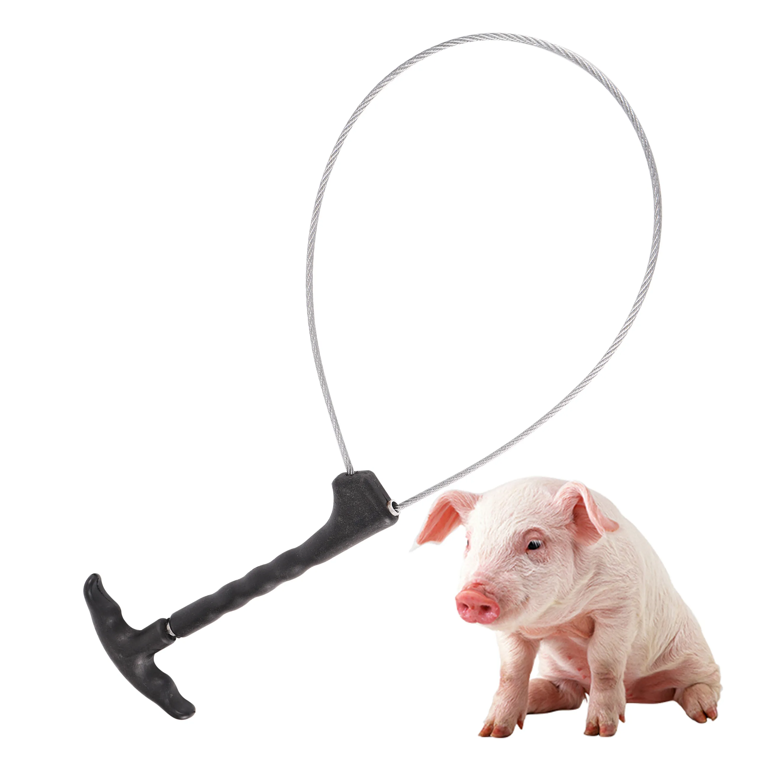 Pig Baoding Set: Fixed Rope Wire Ropes Sleeve for Stockbreeding ...