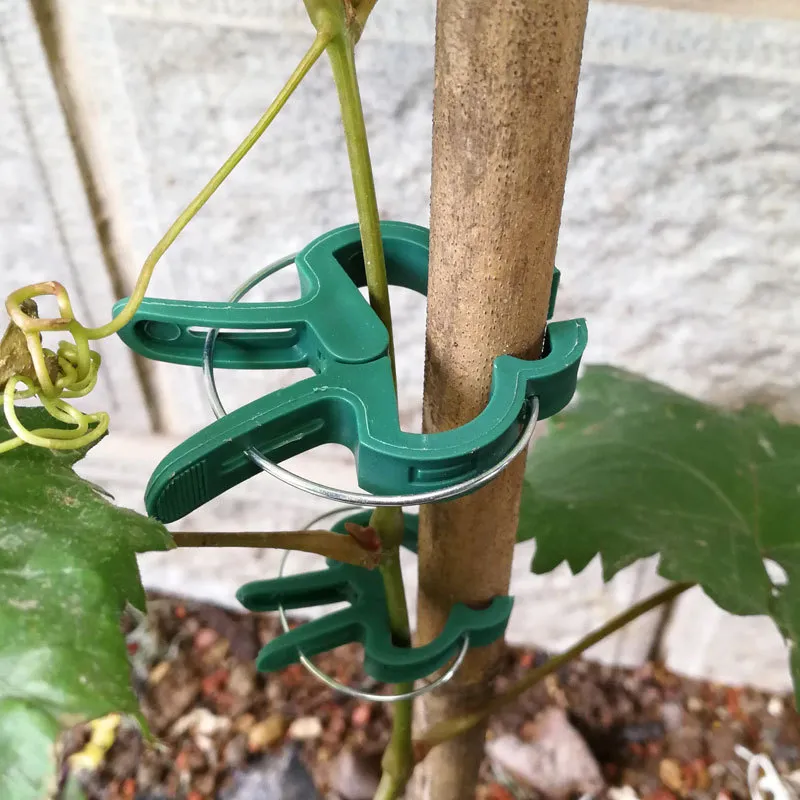 20 -st gractclips herbruikbare plastic plantenklem voor kas groenten bloemen stengel wijnstokken druivenplant kooien ondersteunen bevestigingsmiddel