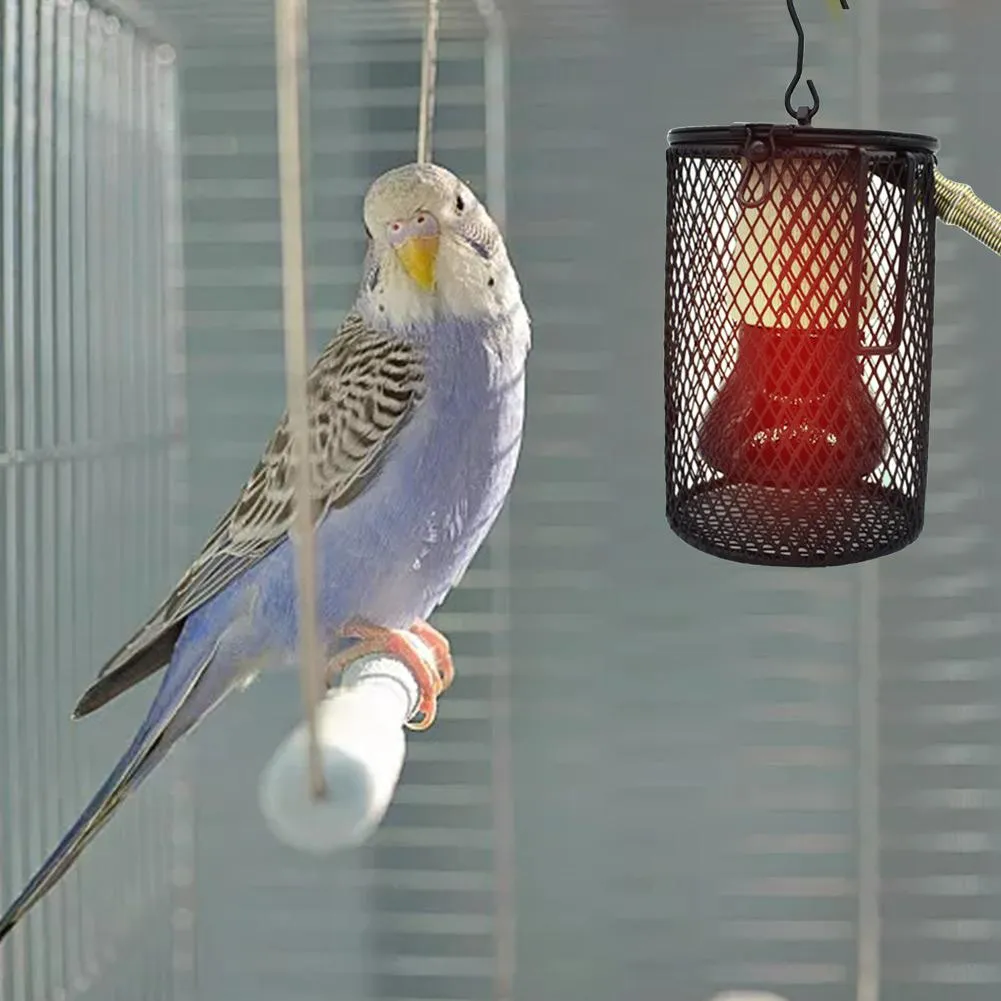 Lampe chaude reptile lampe à la lampe Pet Cage Heat Emiter Pet Coop Habinage Céramique Fourniture d'hiver