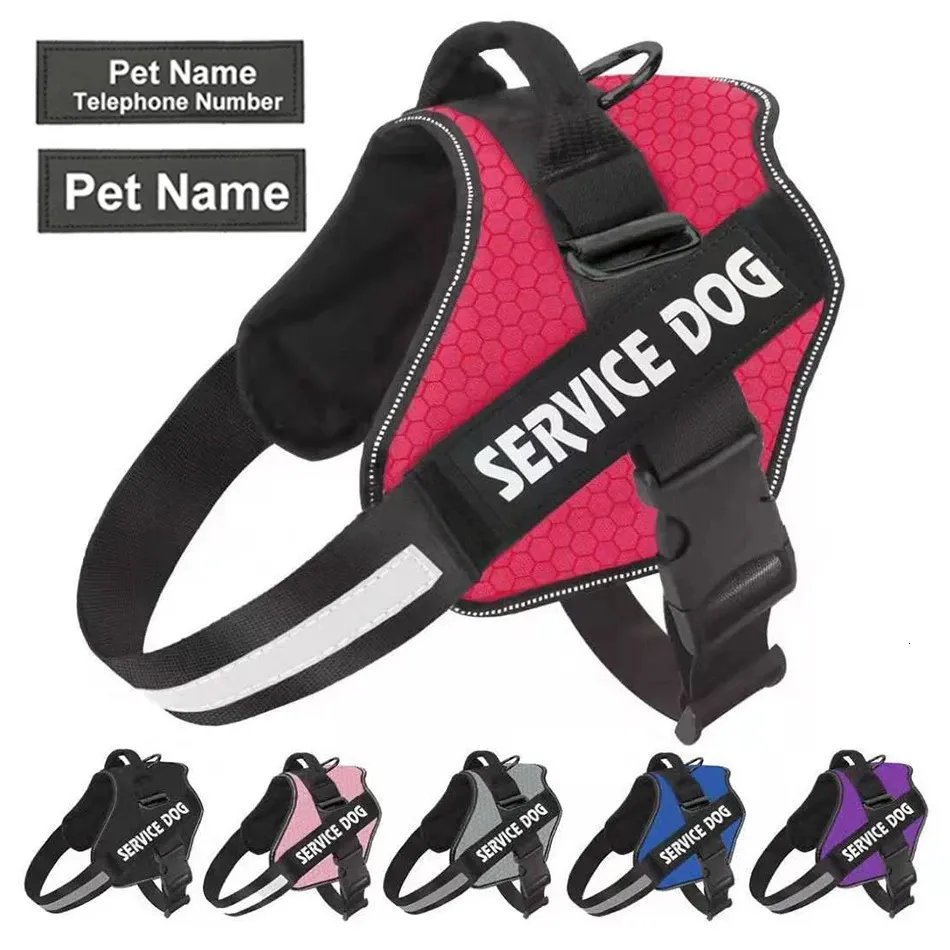 Cablaggio per cani collari per animali domestici e cinghie per guinzaglio accessori per il torace personalizzati grandi medium per le forniture per cani 240328