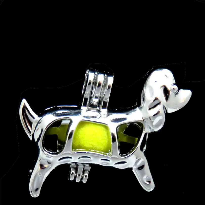 10 pezzi Classic Dog Babbund Charm Cange Cage Locket Aromatherapy Diffuser Collana a pendente Bracciale per gioielli regalo Bulk