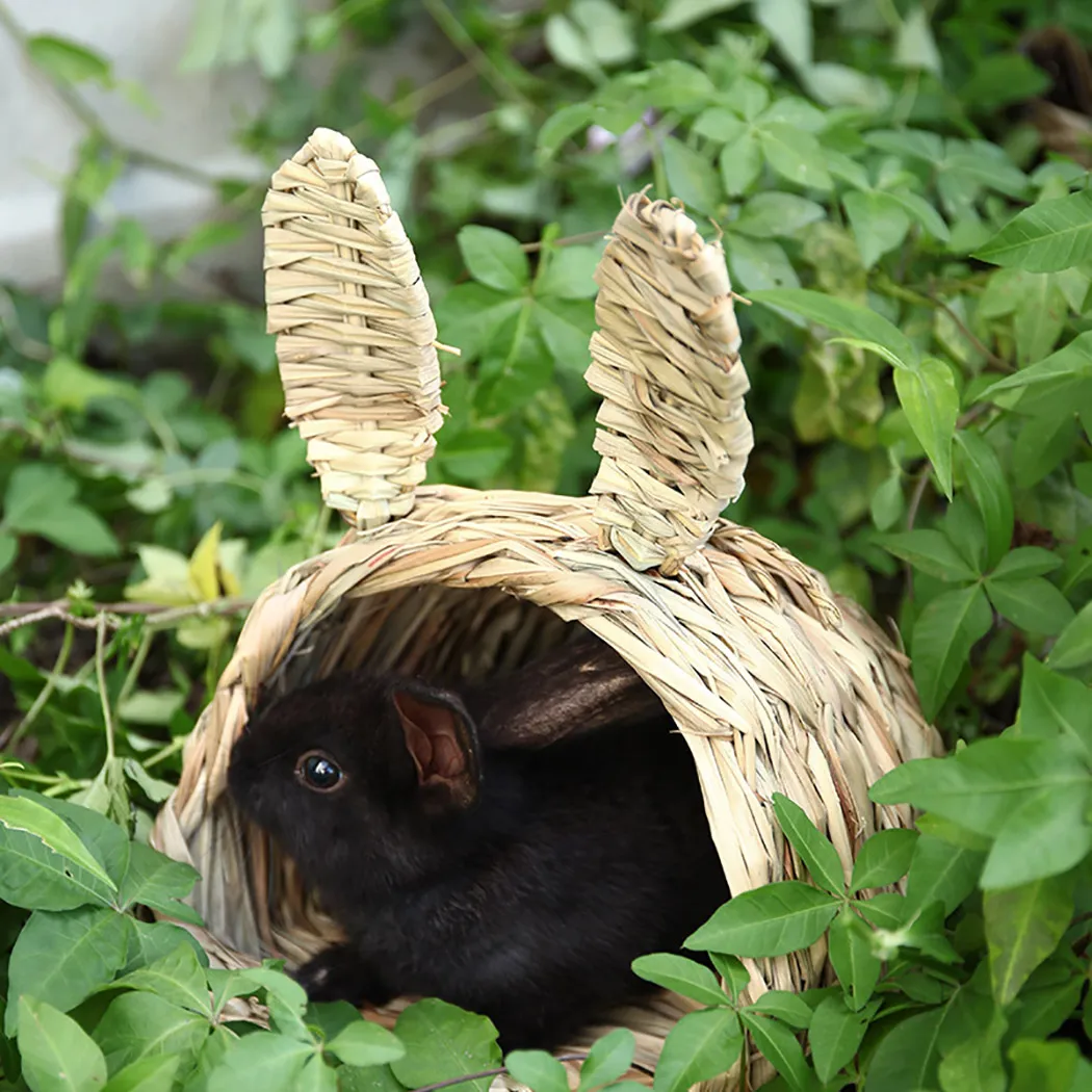 Paille hamster cage hut maison de peatter l'herbe nidi