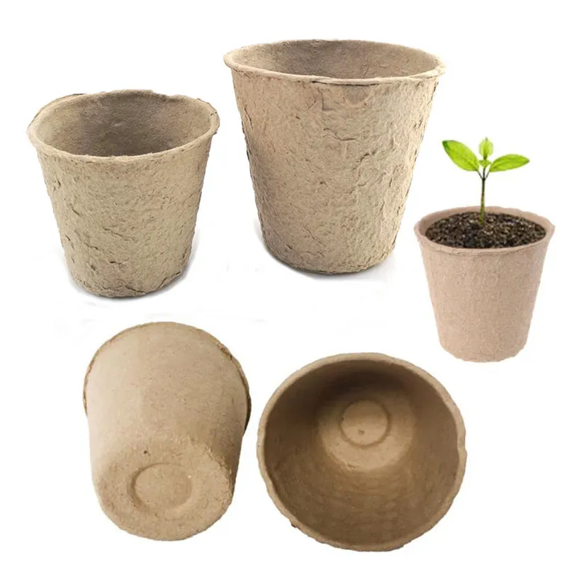 50x graines de crèche tasse de culture de poule en pot Papier de planteur cultiver la plante de plante fleur de fleur de fleur biodégradable