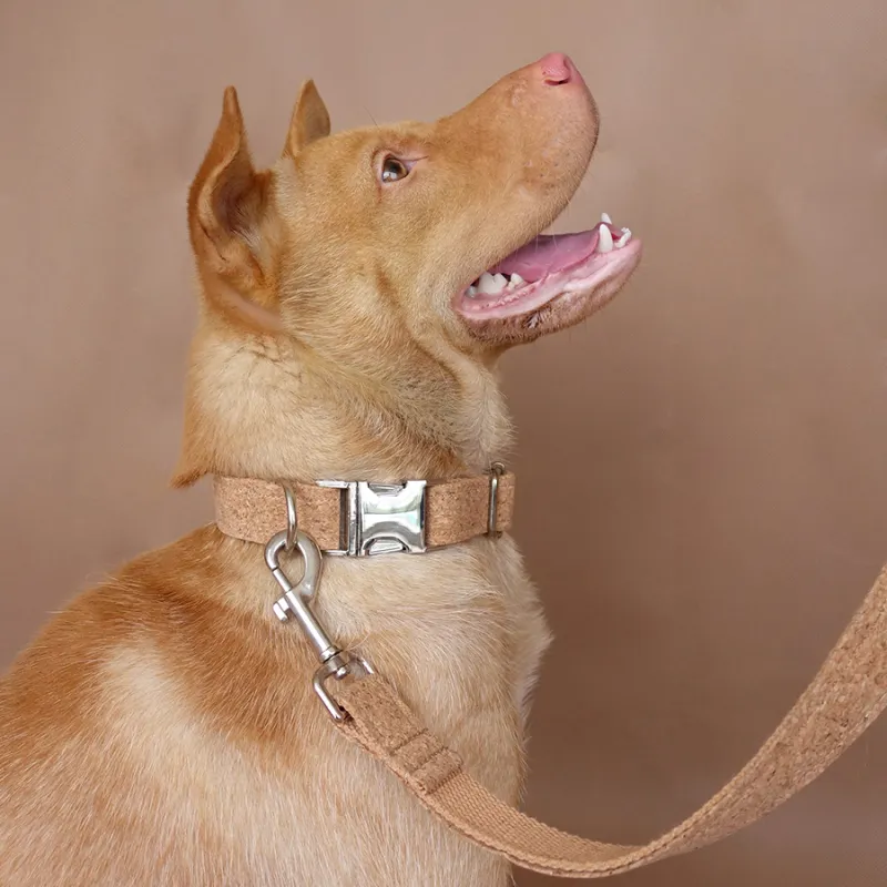 Muttco Individueel aangepaste huisdier levert de weerstand van houtkorrels om hondenkraagriem te bijten, puppy accessoire 5 maten UDC084