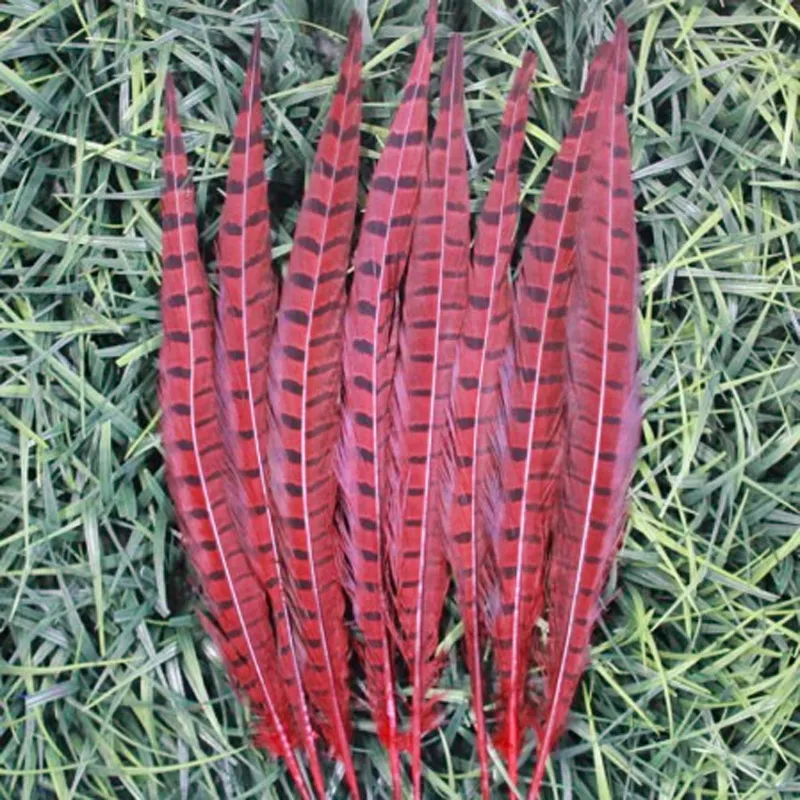 Plumas para manualidades! 10pcs/lot 12-14 "30-35 cm Bellissimi piume di coda di fagiani con pinna 6 colori disponibili, disponibili,