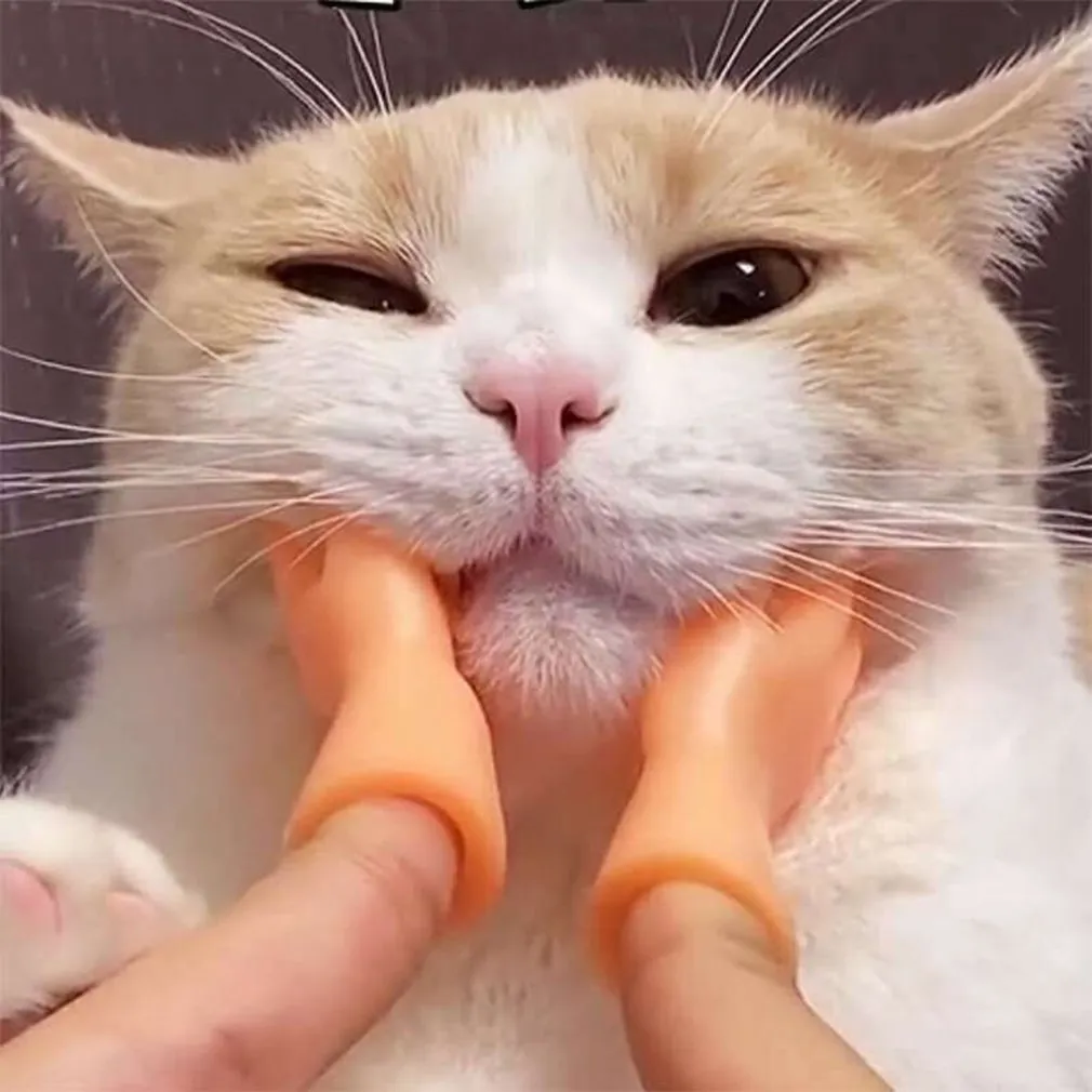 Fingerabdeckung Katzenspielzeug interaktive Massage Katzen Tease Mini Kreative Geste Humanoid Handform kleines Fingerhülsen Katze Tease Spielzeug