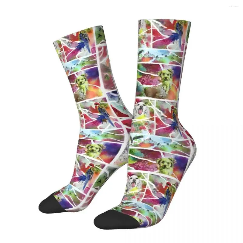 Erkek Socks Friends Çılgın Sıkıştırma UNISEX ALF ANIMLED SERİSİ HARAJUKU DESENİ BASKI ÇOCUK NEENTYTY HUMPLE CREW SOCK