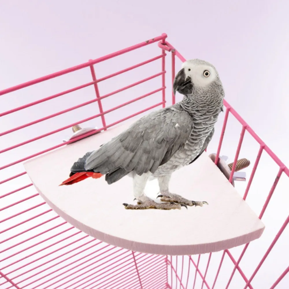 Squirrel Rack Fan-shaped Wooden Bird Stand Rack Perch for Small Animals Chinchilla ...